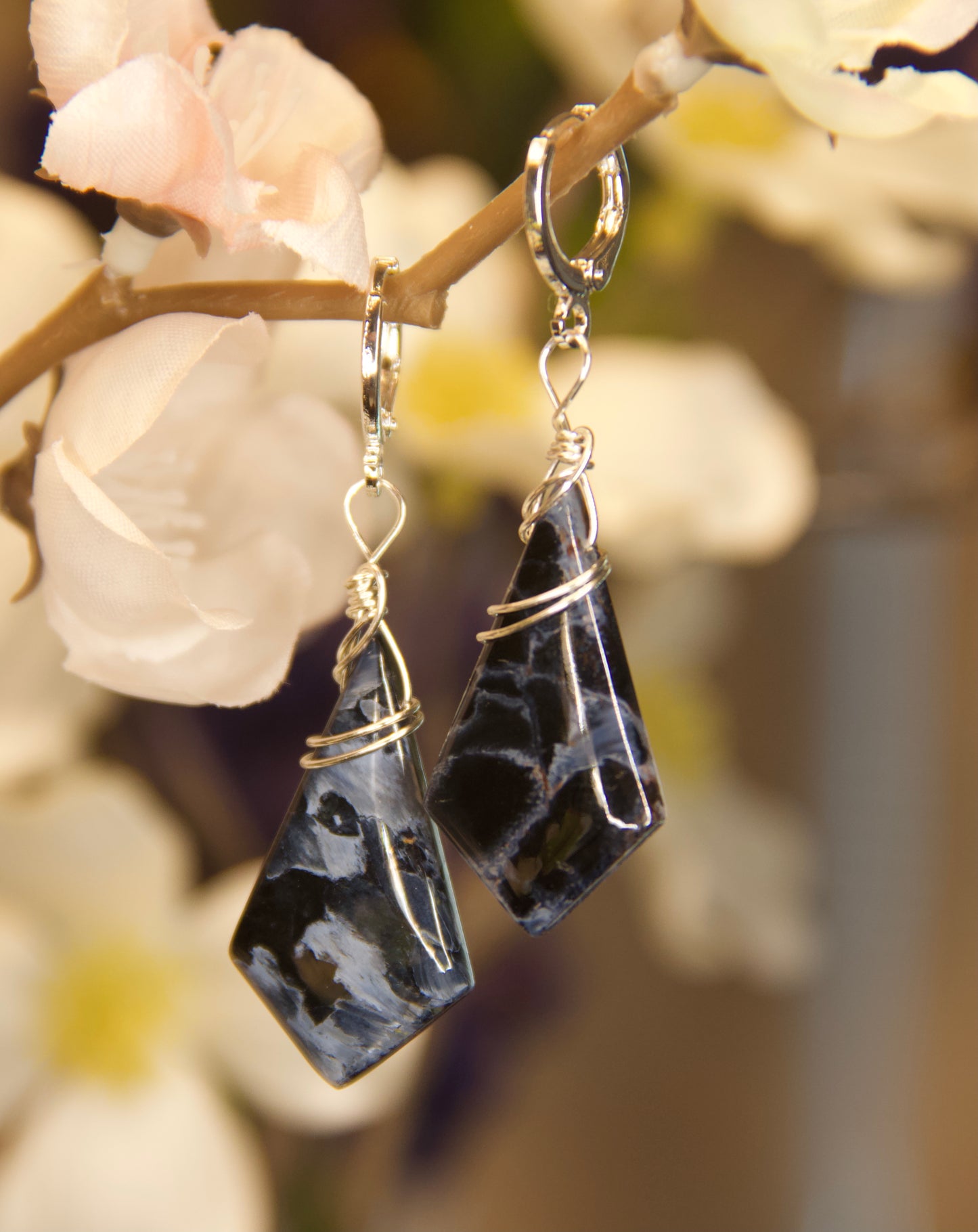 Rare Pietersite Earrings Wrapped in Silver Wire