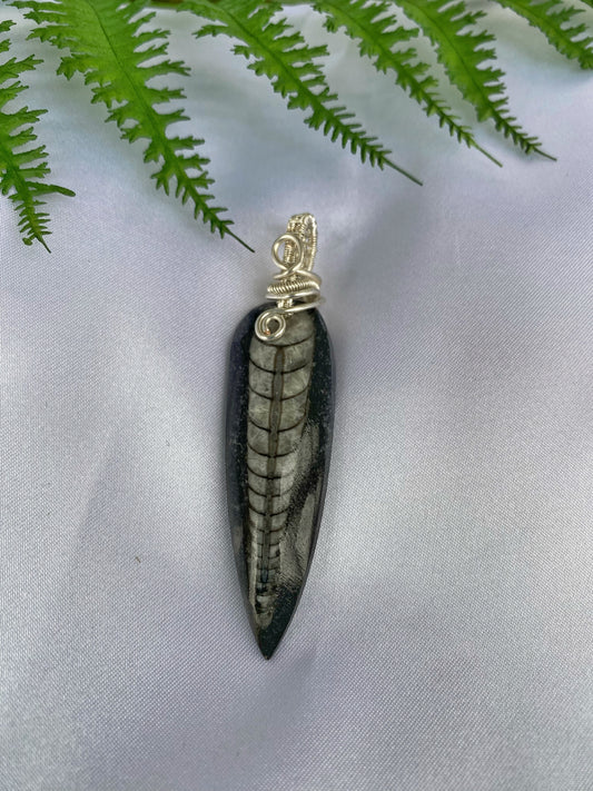 Trilobite Top-Drilled Pendant-50% OFF!